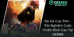 Đá Gà Cựa Tròn - Trải Nghiệm Cuộc Chiến Đỉnh Cao Tại GEM88 2 A Ga Cua Tron Trai Nghiem Cuoc Chien Inh Cao Tai Gem88