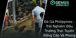 Đá Gà Philippines - Trải Nghiệm Đấu Trường Trực Tuyến Đẳng Cấp Cùng GEM88 1 A Ga Philippines Trai Nghiem Au Truong Truc Tuyen Ang Cap Va Phong Phu Cung Gem88